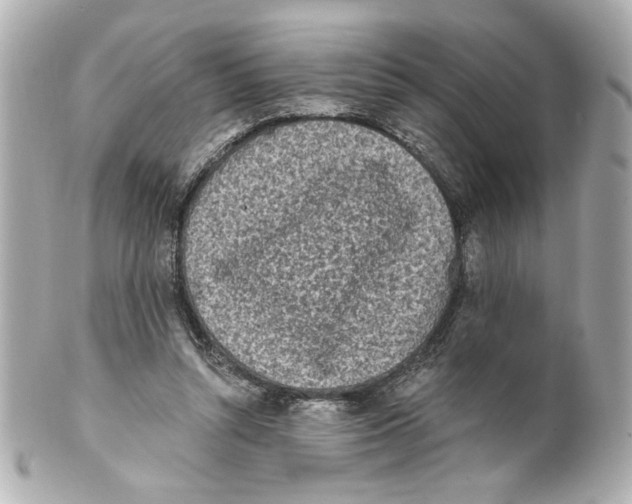 X0000101460352200808041047