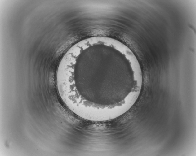 X0000101460353200808041047