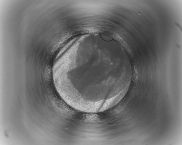 X0000101460355200808041047