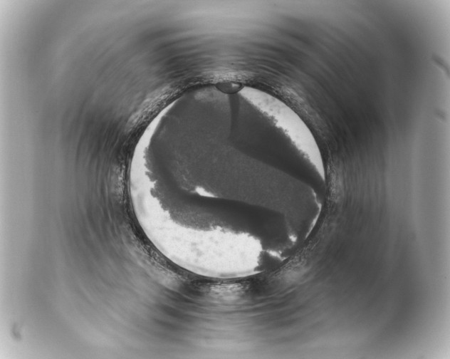 X0000101460357200808041047