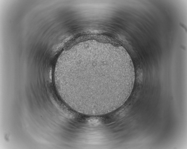 X0000101460358200808041047