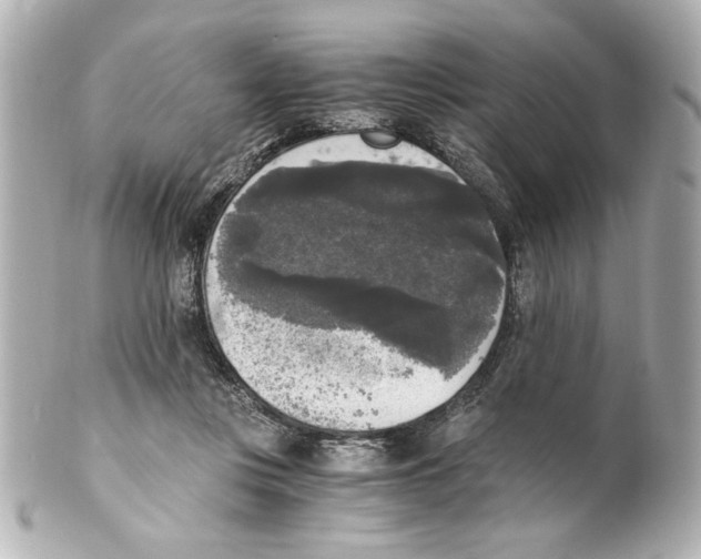 X0000101460359200808041047