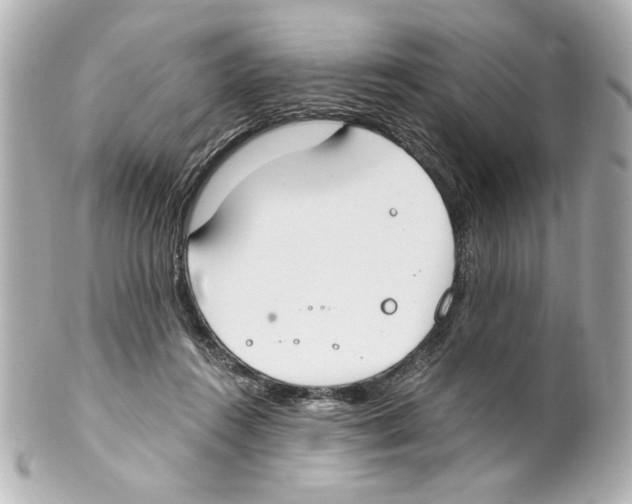 X0000101460360200808041047