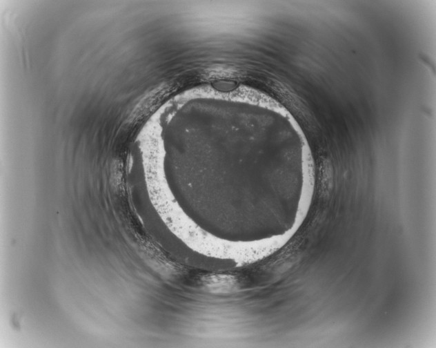 X0000101460361200808041047
