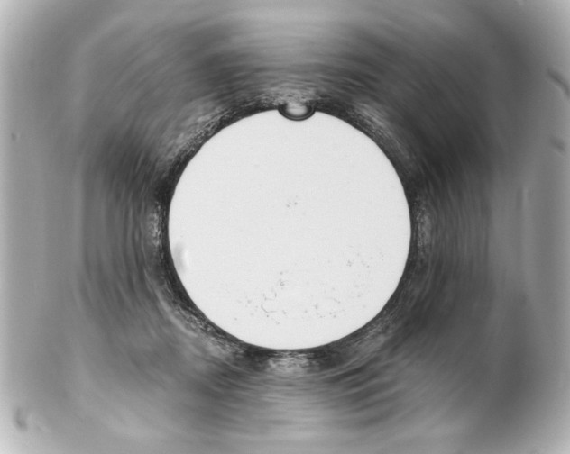X0000101460362200808041047