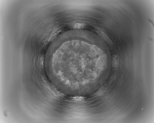 X0000101460363200808041047