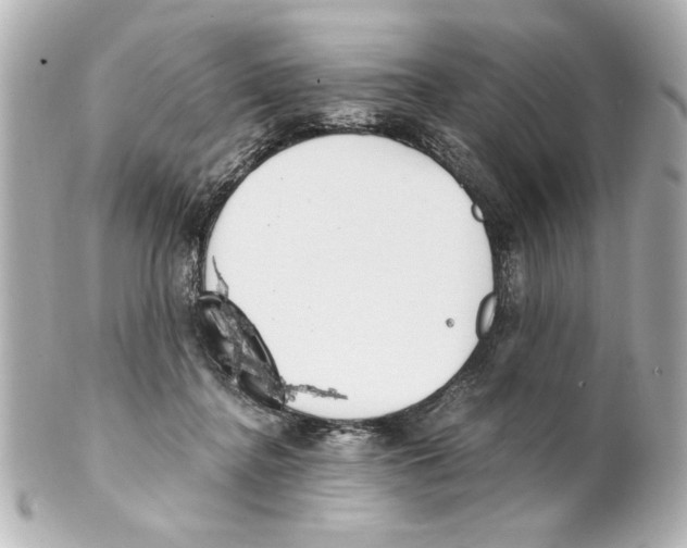X0000101460364200808041047