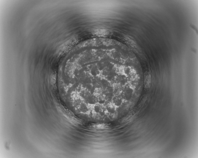 X0000101460365200808041047