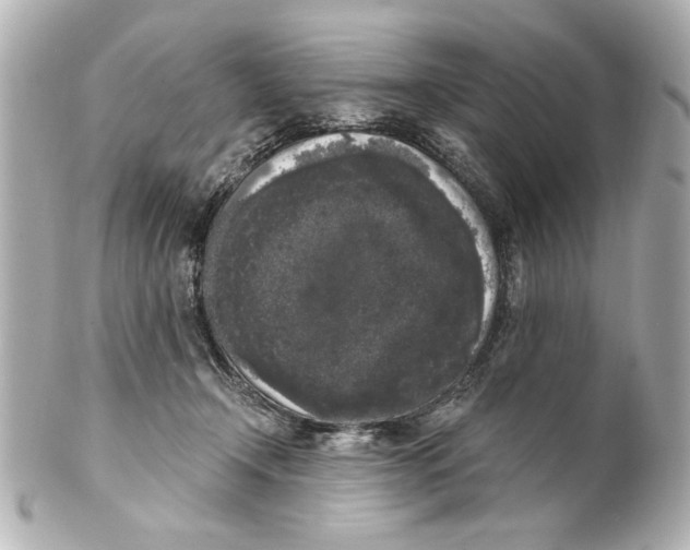 X0000101460366200808041047