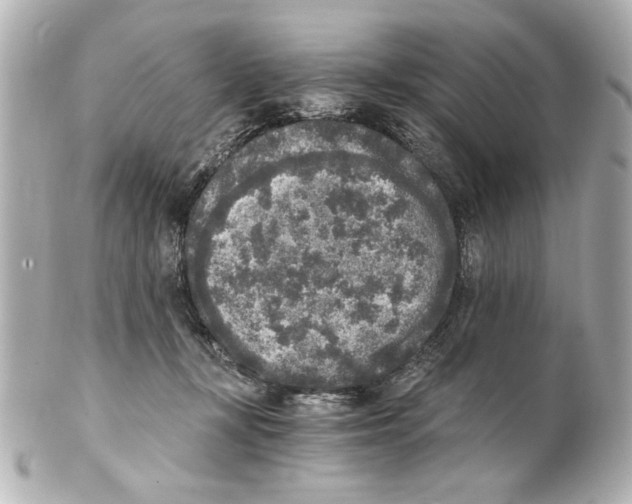 X0000101460367200808041047
