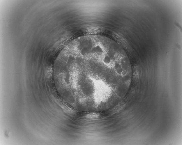 X0000101460369200808041047