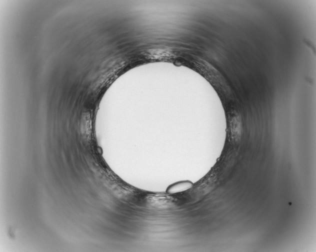 X0000101460372200808041047
