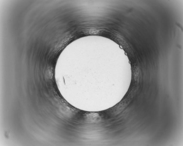 X0000101460374200808041048