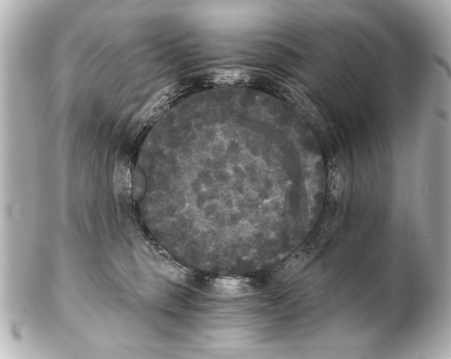X0000101460375200808041048