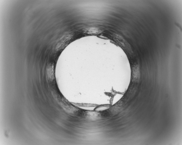 X0000101460376200808041048