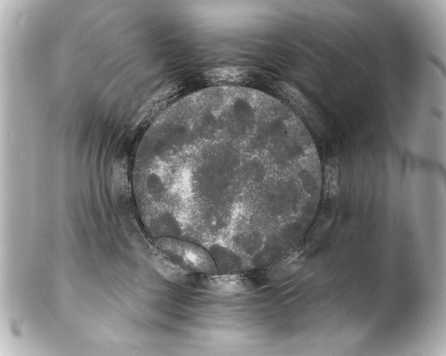 X0000101460377200808041048