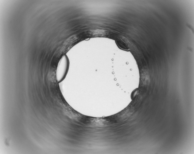 X0000101460379200808041048