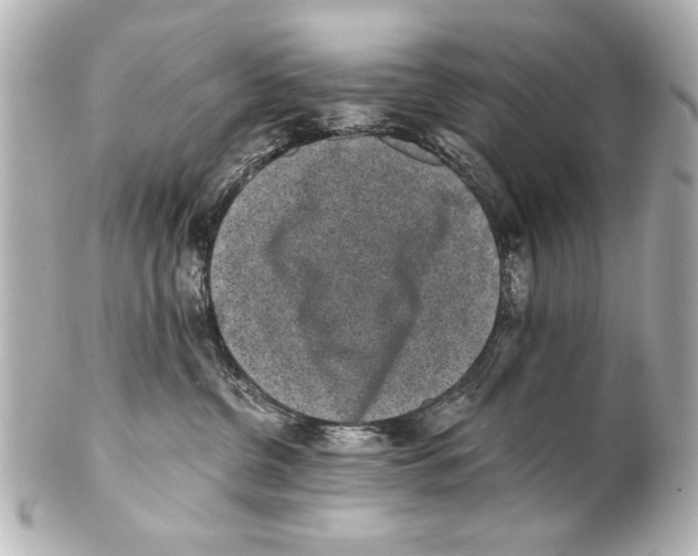 X0000101460380200808041048