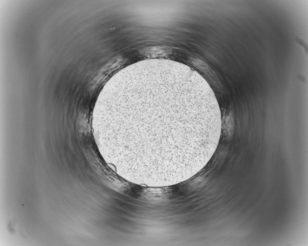 X0000101460381200808041048