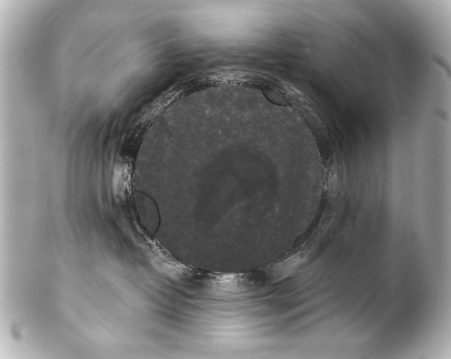 X0000101460382200808041048