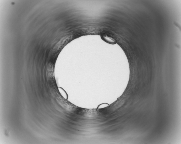 X0000101460384200808041048