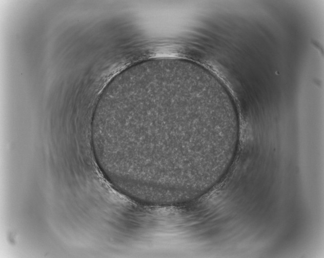 X0000101460385200808041047