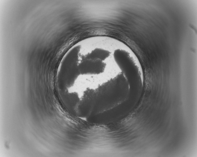X0000101460386200808041047
