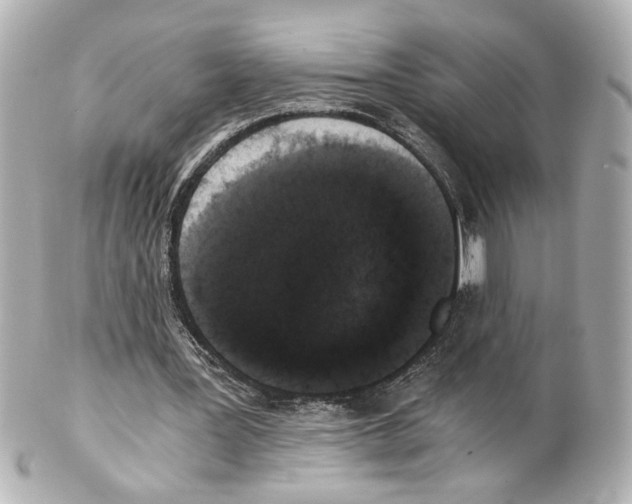 X0000101460387200808041047