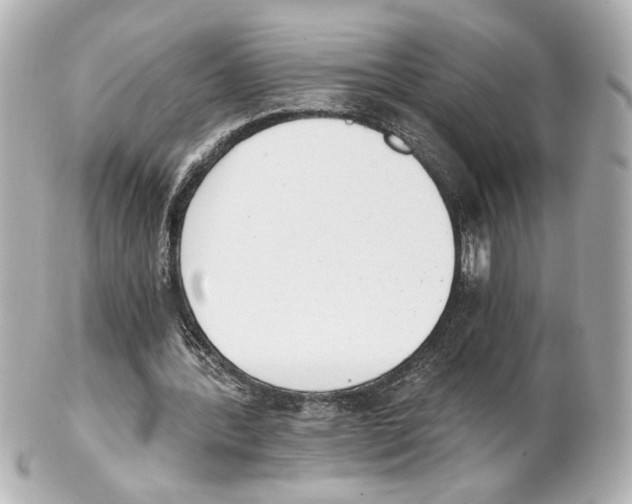 X0000101460388200808041047