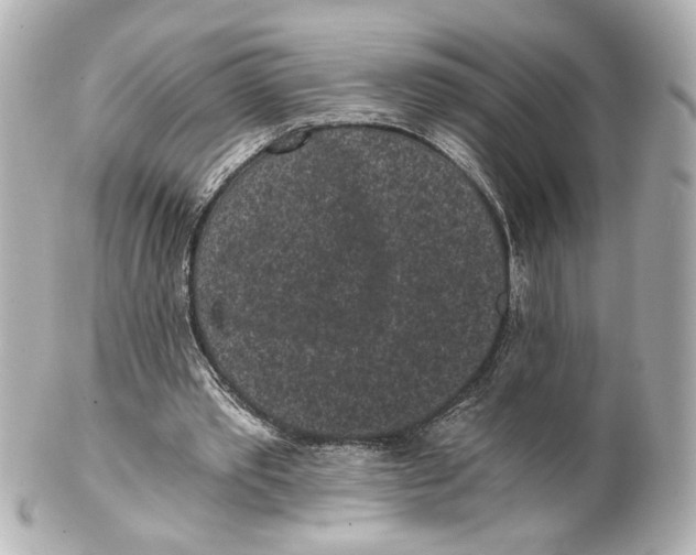 X0000101460389200808041047