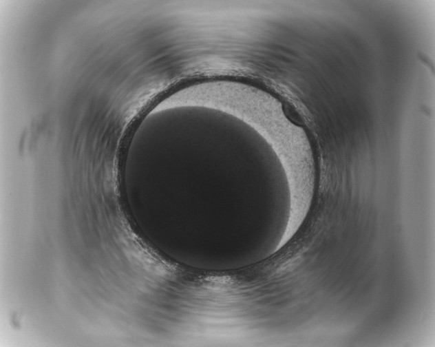 X0000101460391200808041047