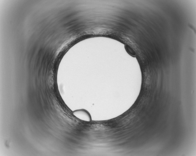 X0000101460392200808041047