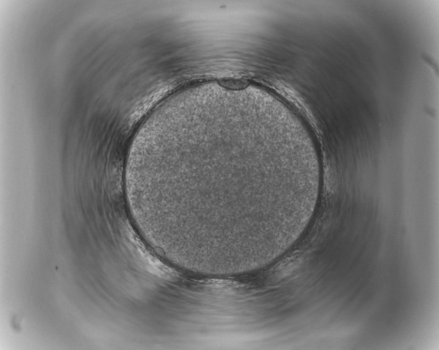 X0000101460393200808041047