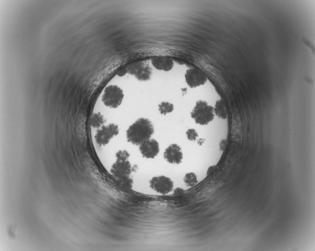 X0000101460394200808041047