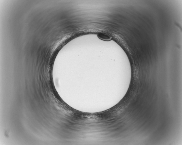 X0000101460395200808041047