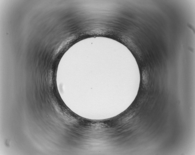 X0000101460396200808041047