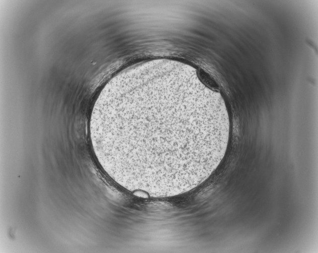 X0000101460397200808041047