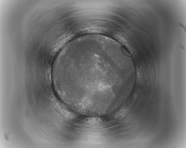 X0000101460398200808041047