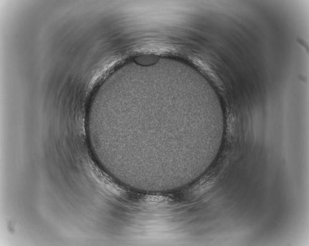 X0000101460399200808041047