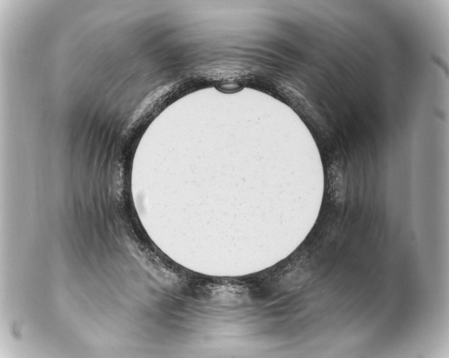 X0000101460400200808041047