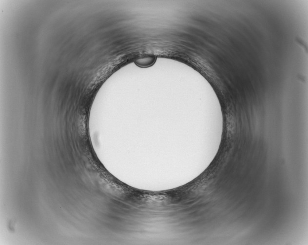 X0000101460401200808041047