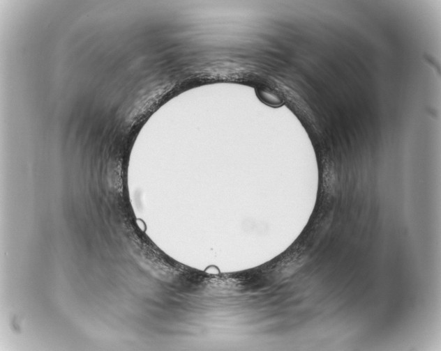 X0000101460403200808041047