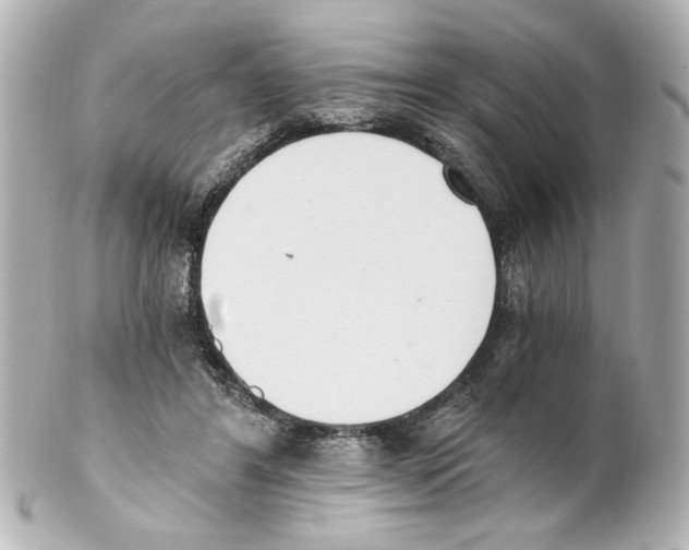 X0000101460404200808041047