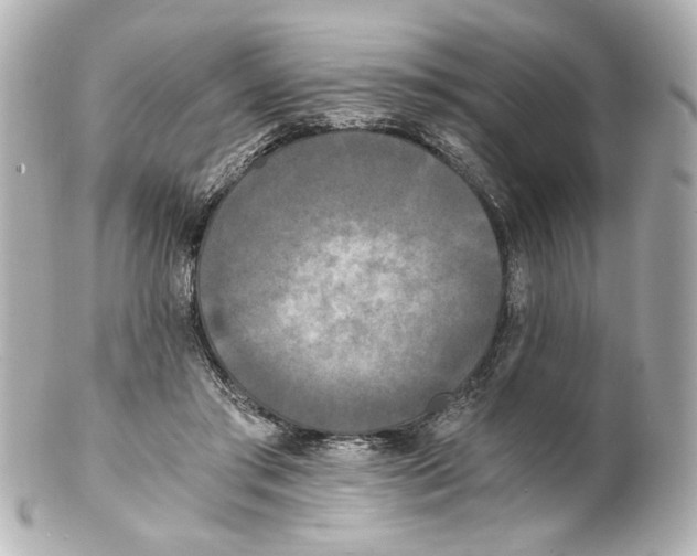 X0000101460405200808041047