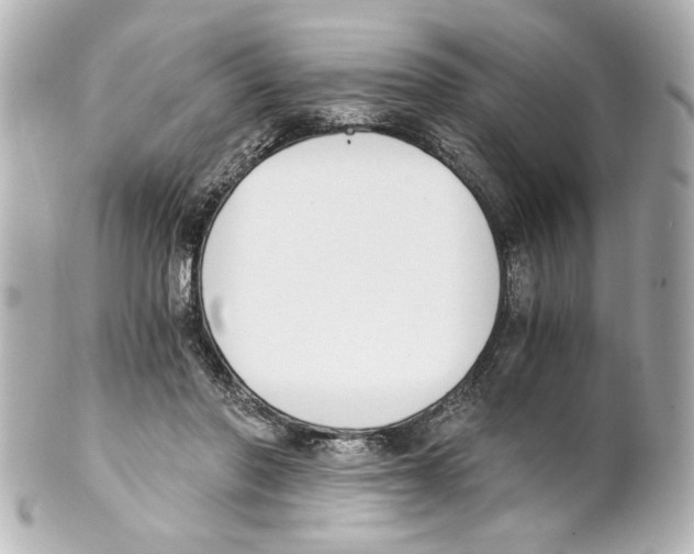 X0000101460406200808041047
