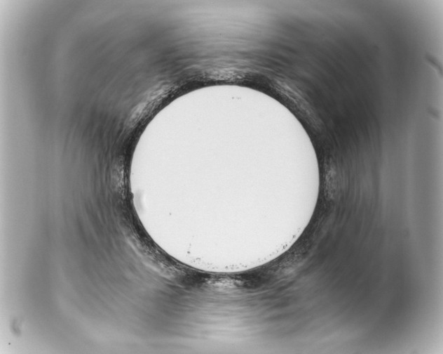 X0000101460407200808041046