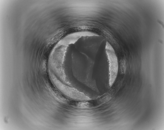 X0000101460410200808041046