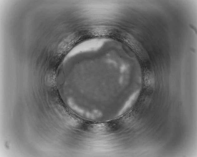 X0000101460411200808041046