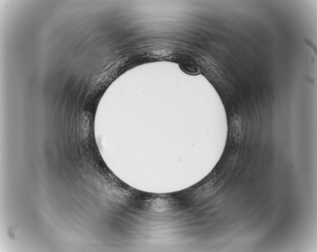 X0000101460412200808041046