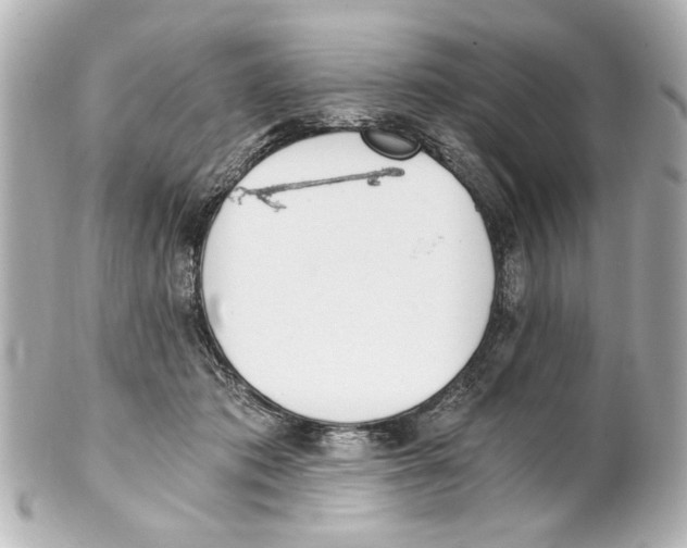 X0000101460413200808041046